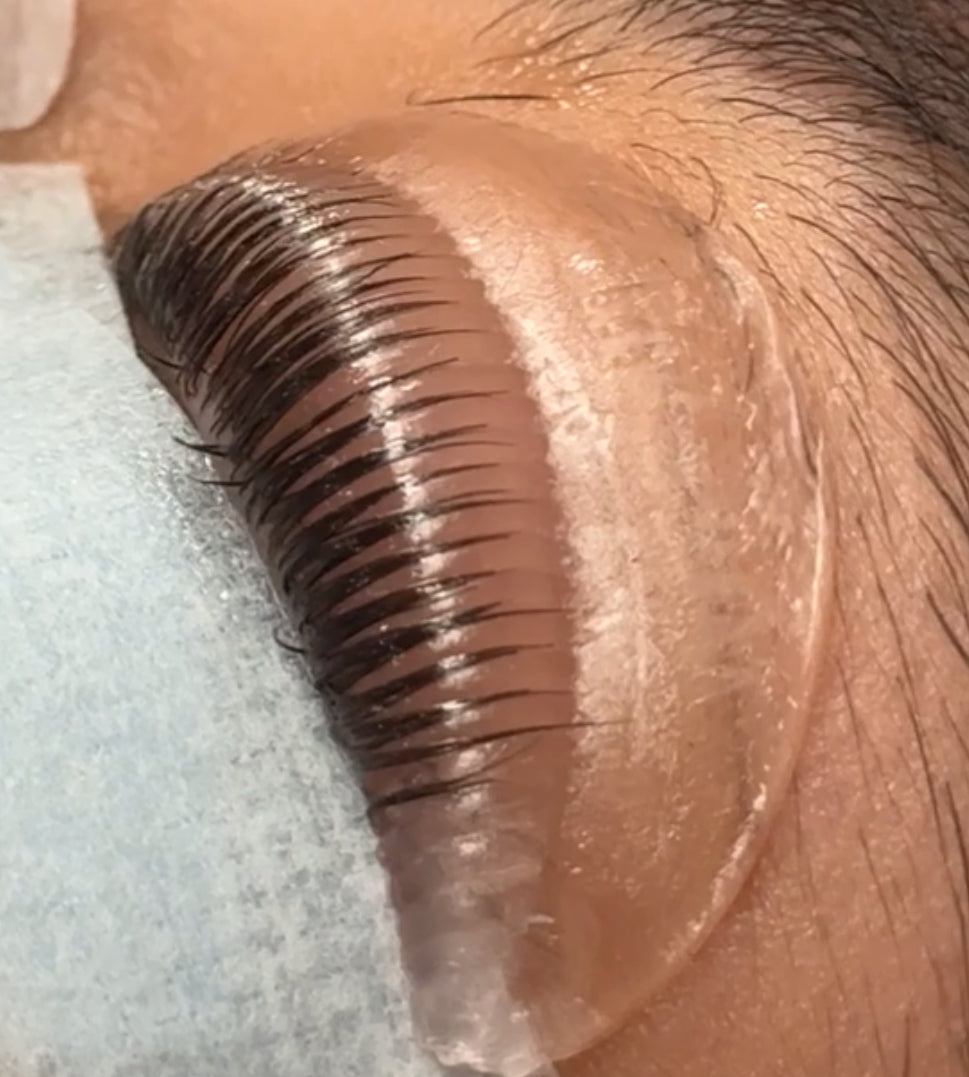 Lash Lift Shields