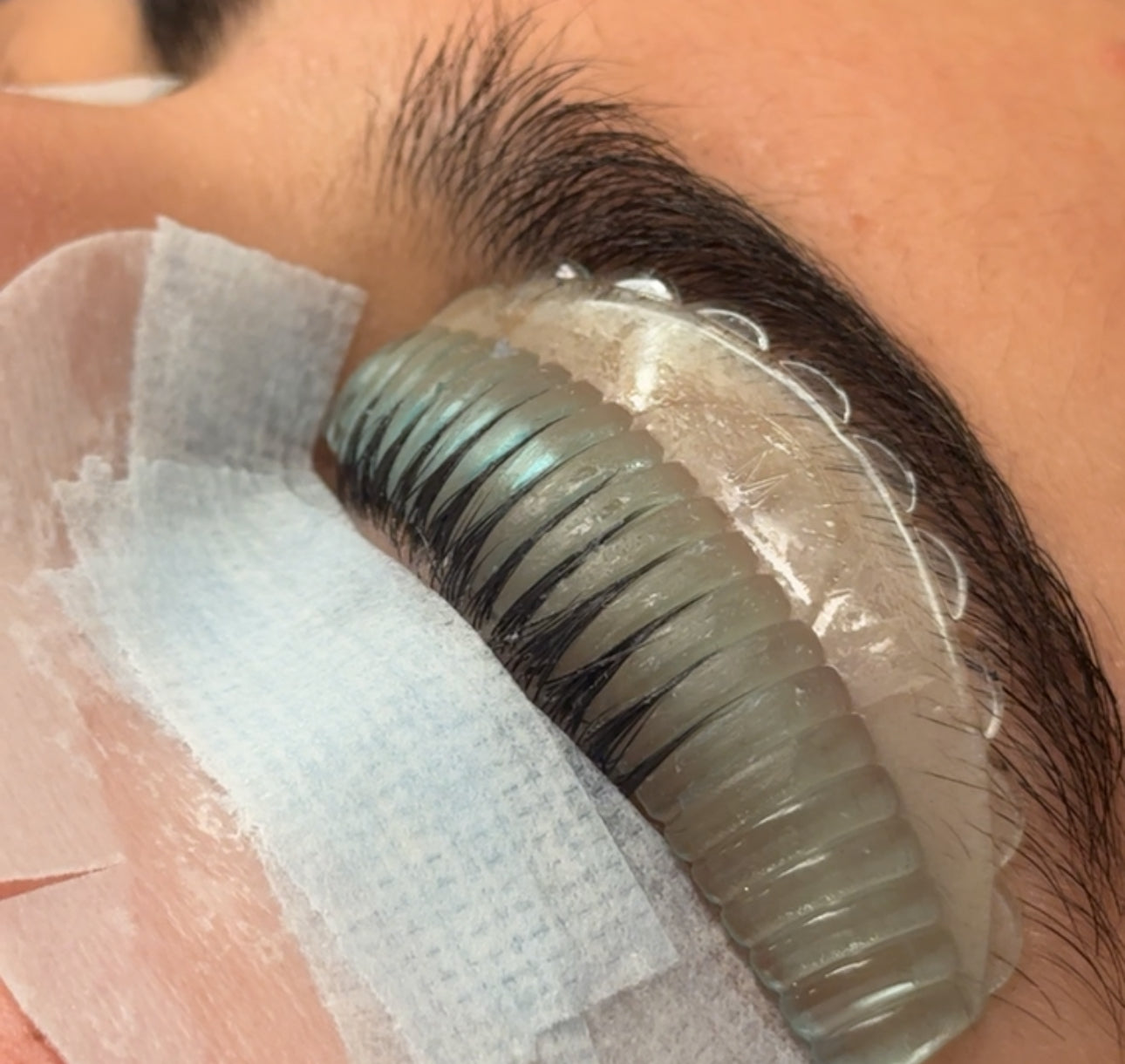Lash Lift Shields